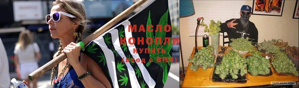 каннабис Аркадак