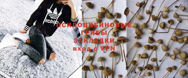 каннабис Аркадак