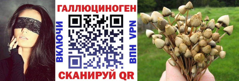 Купить  Егорьевск  Псилоцибиновые грибы Cubensis 